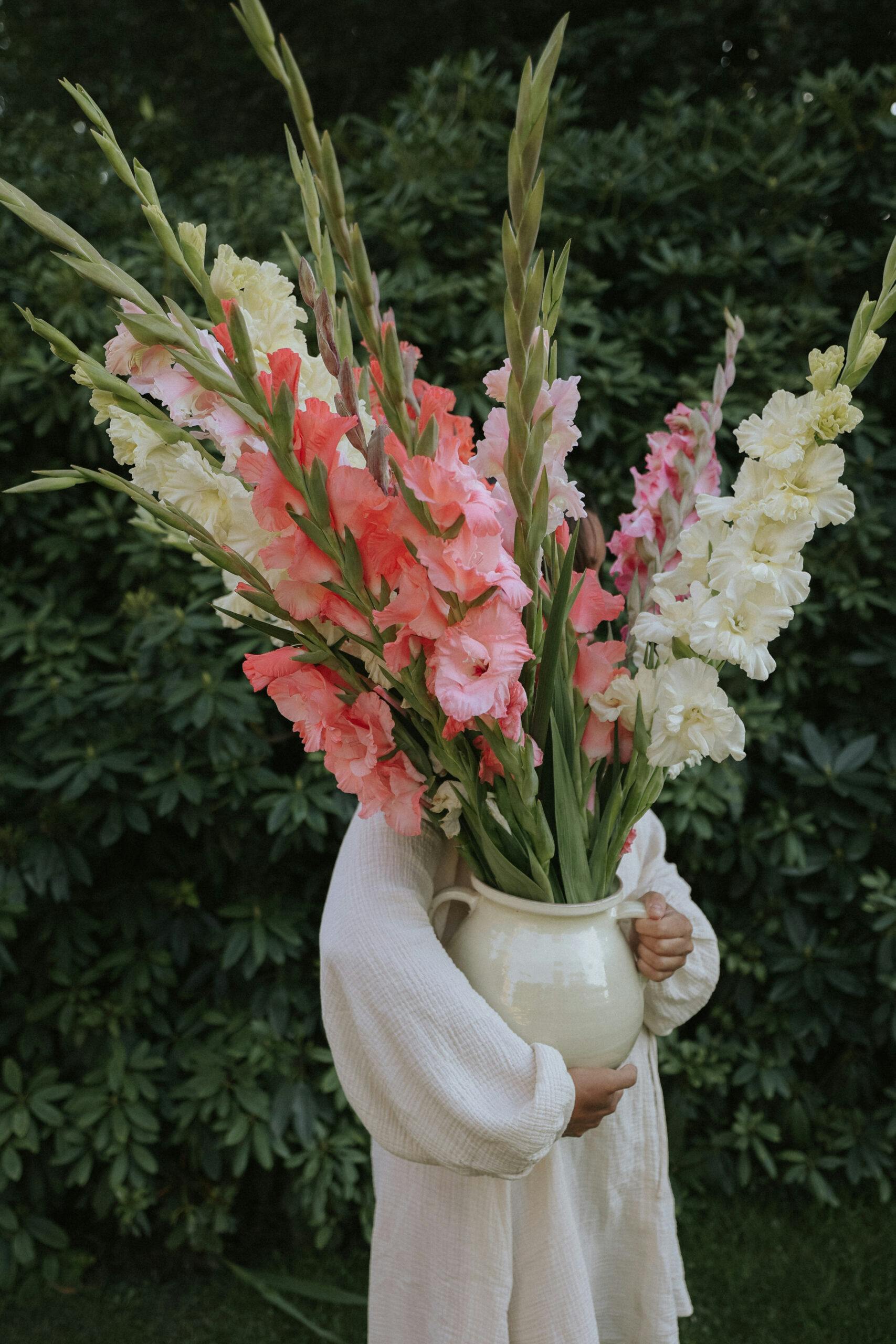 Grow Gladiolus