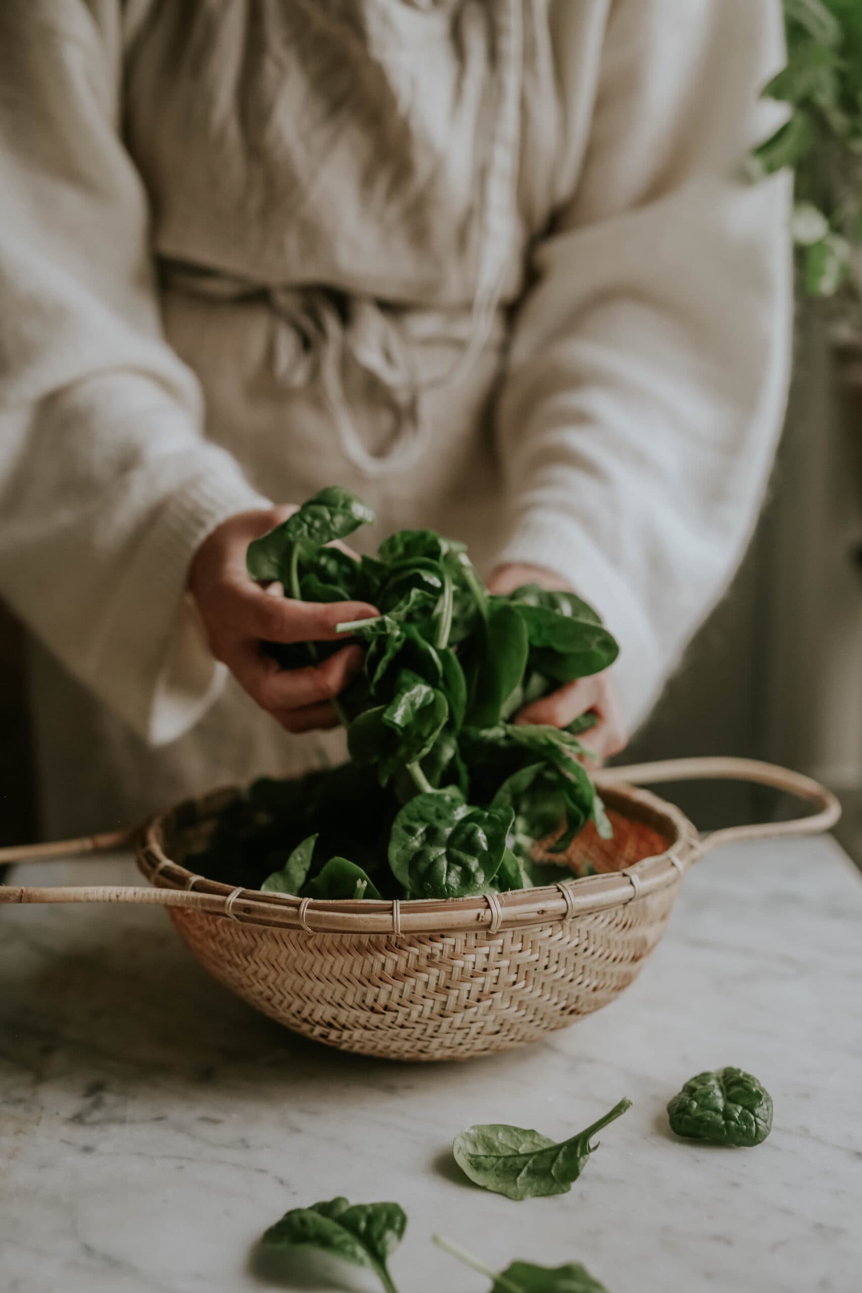 Spinach Seeds