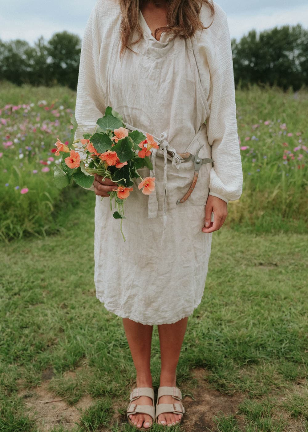 Fröer till blomsterkrasse