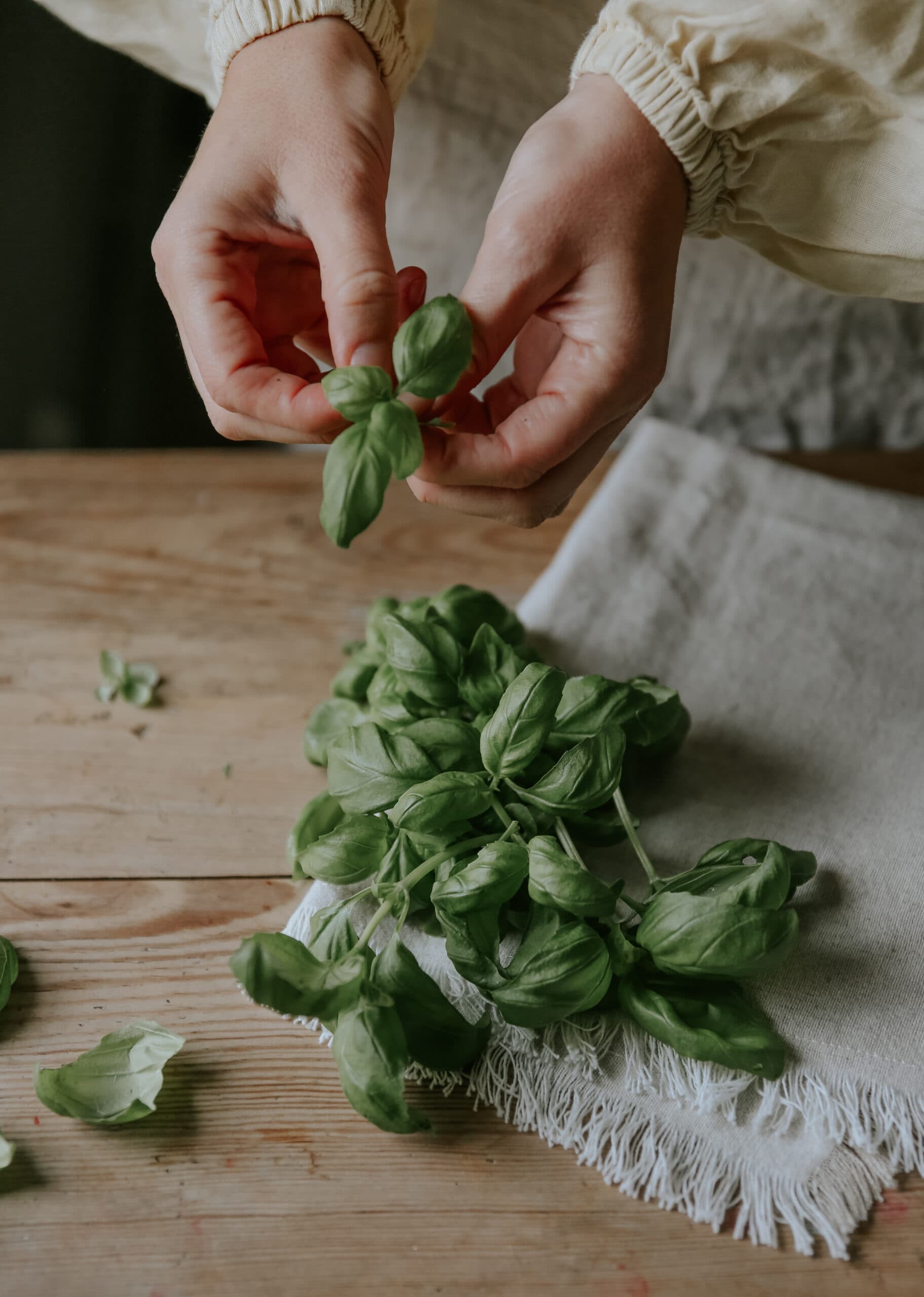 Basil Seeds