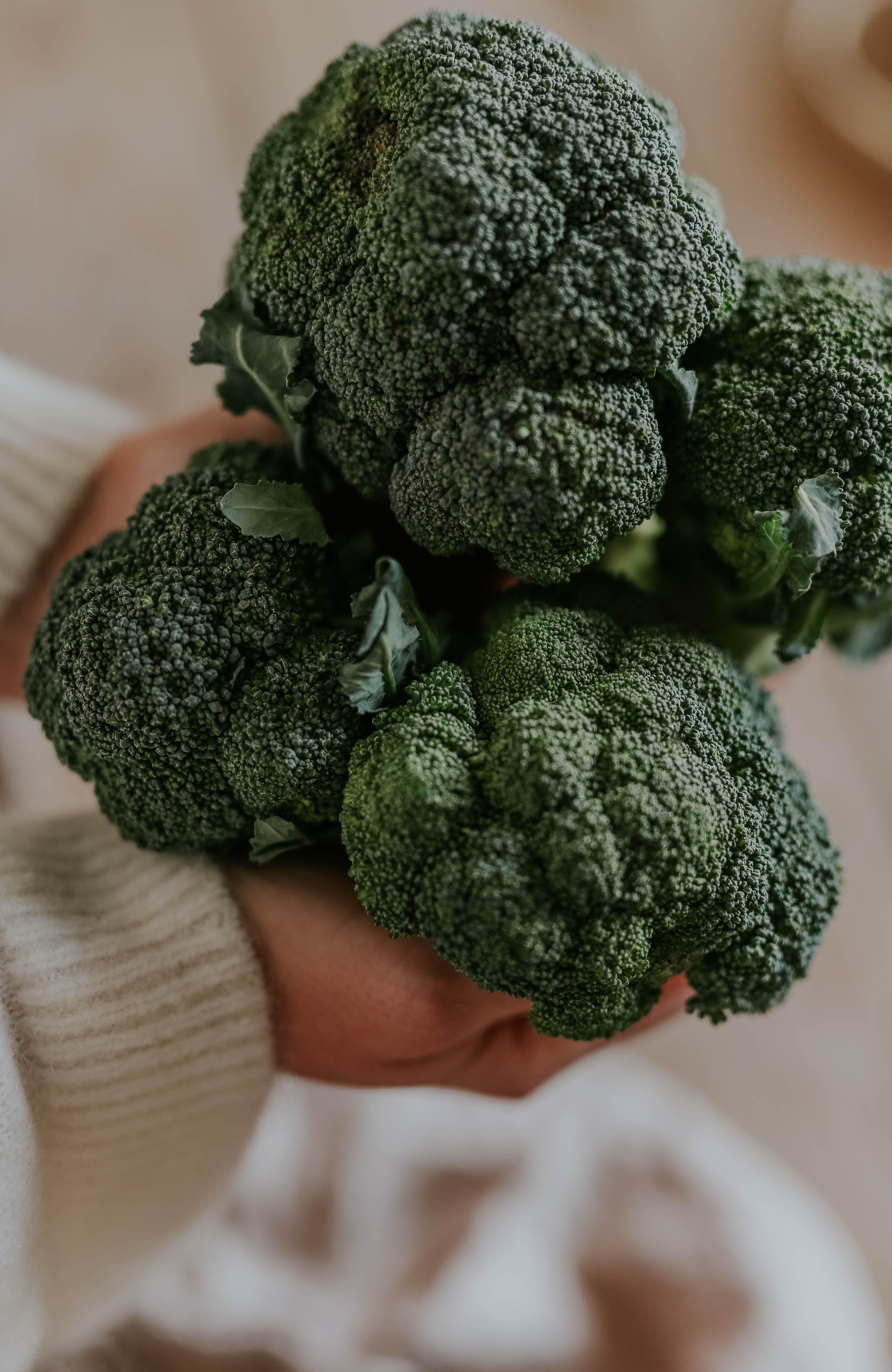 Brocoli