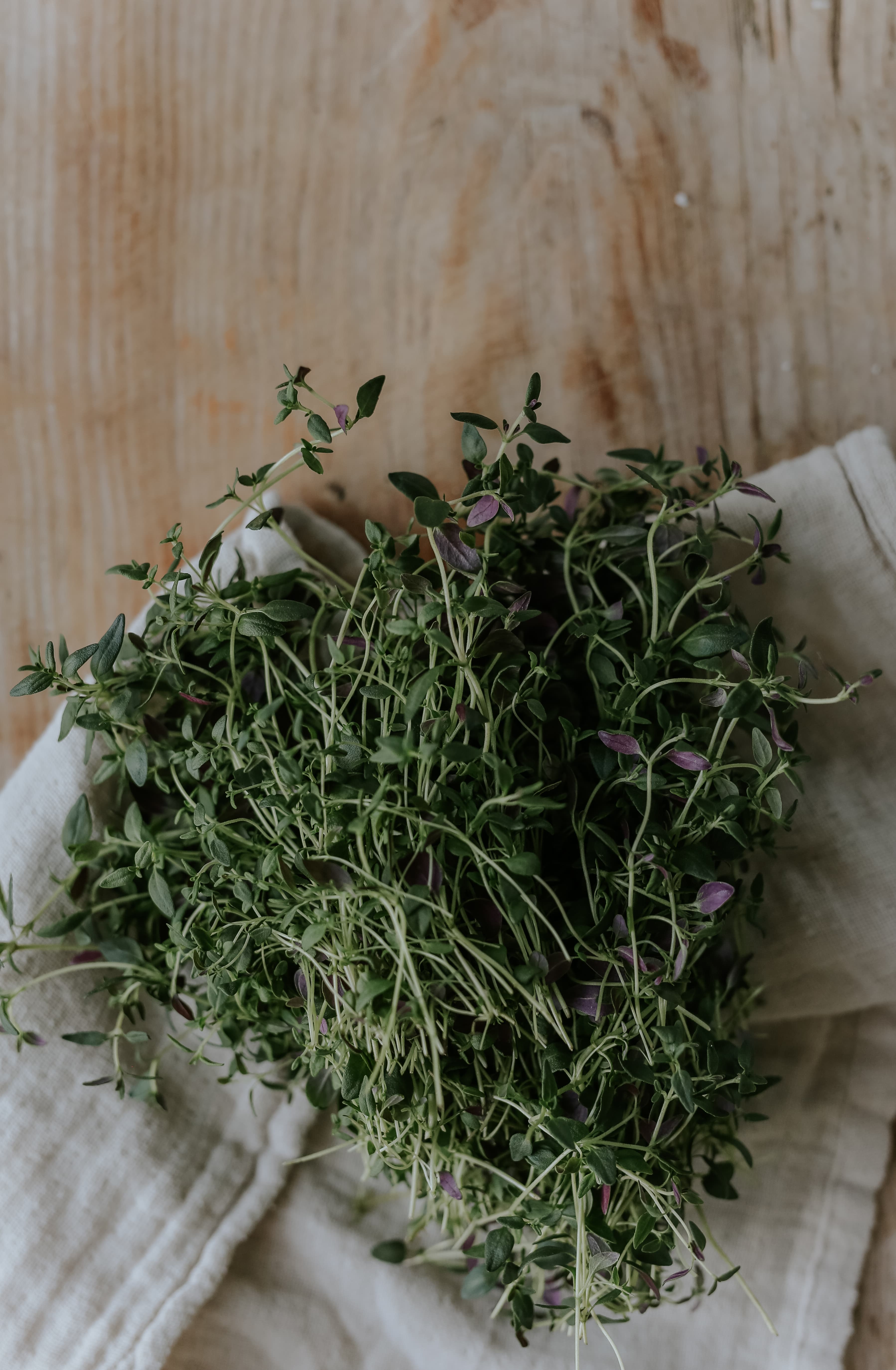 Thyme