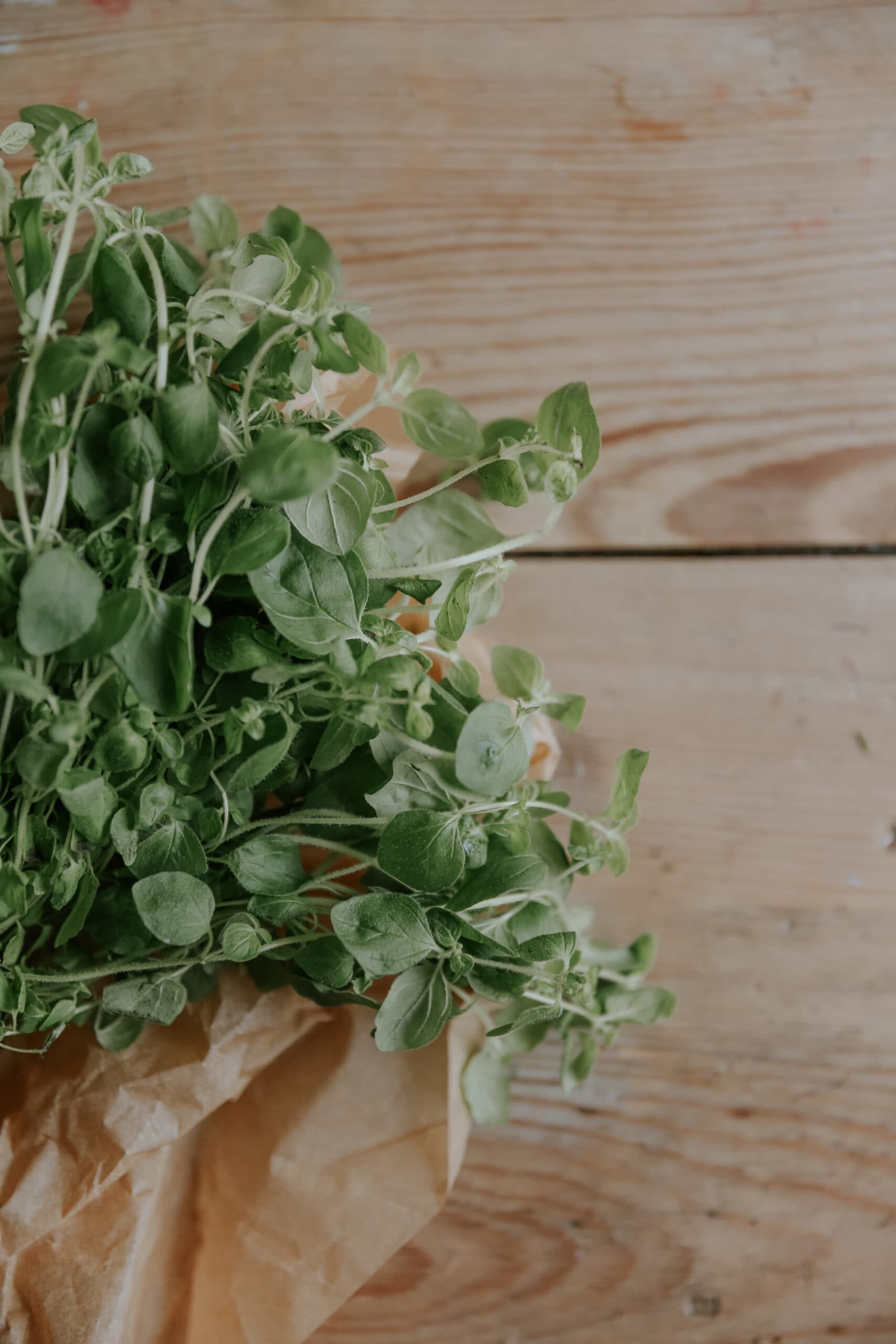 Grön oregano på brunt papper ovanpå brunt bord