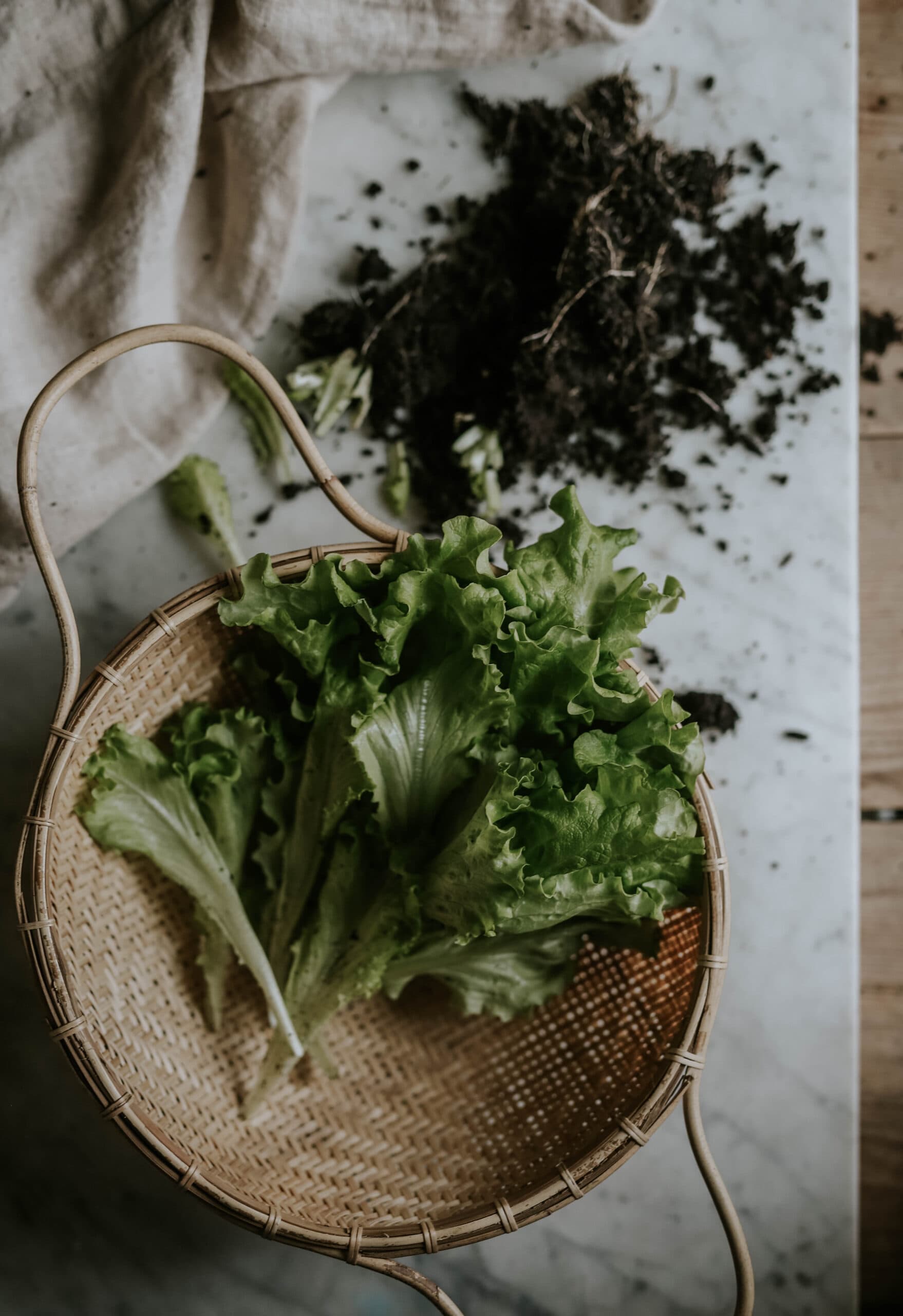 Leafy greens seeds