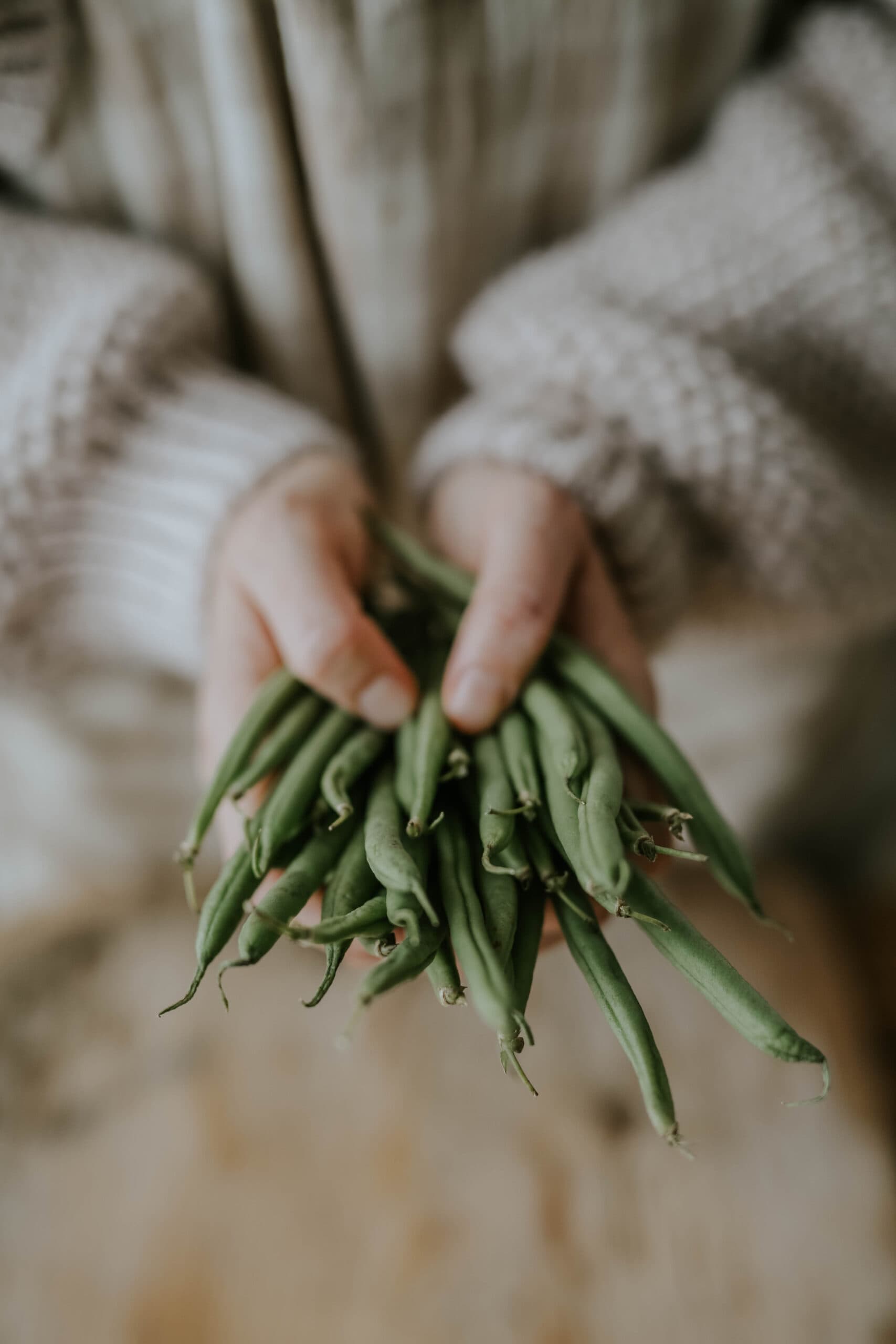 Grow beans