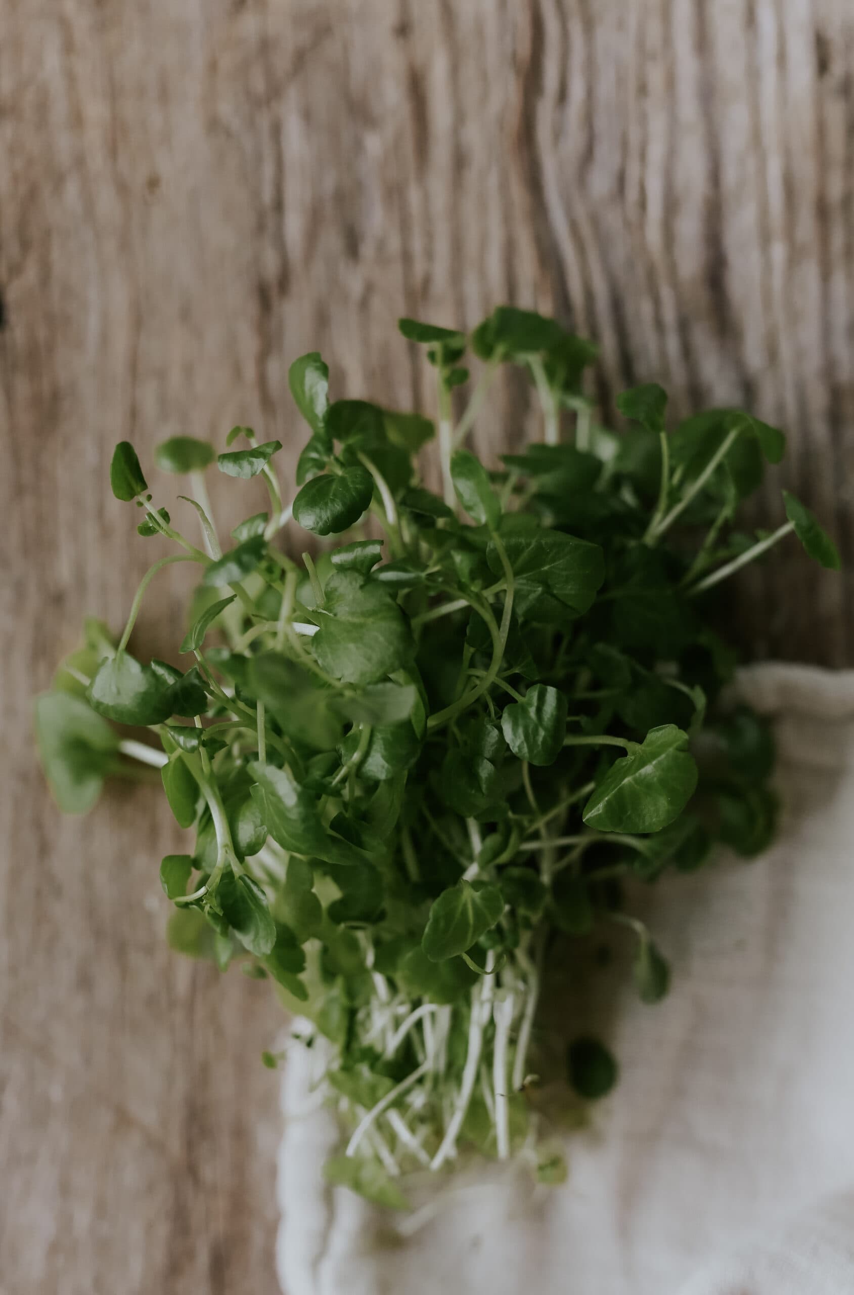 Watercress seeds