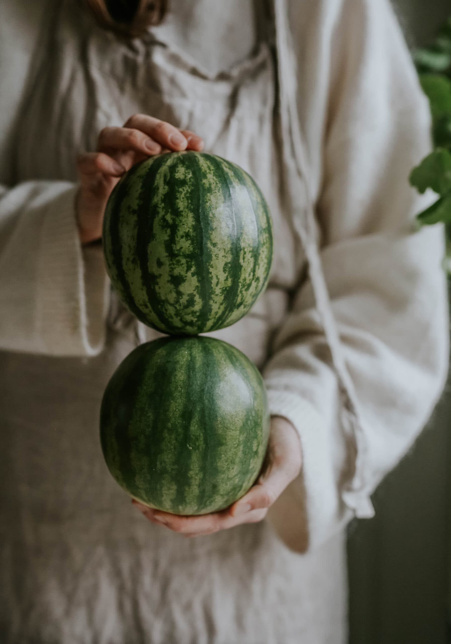 Fröer till melon