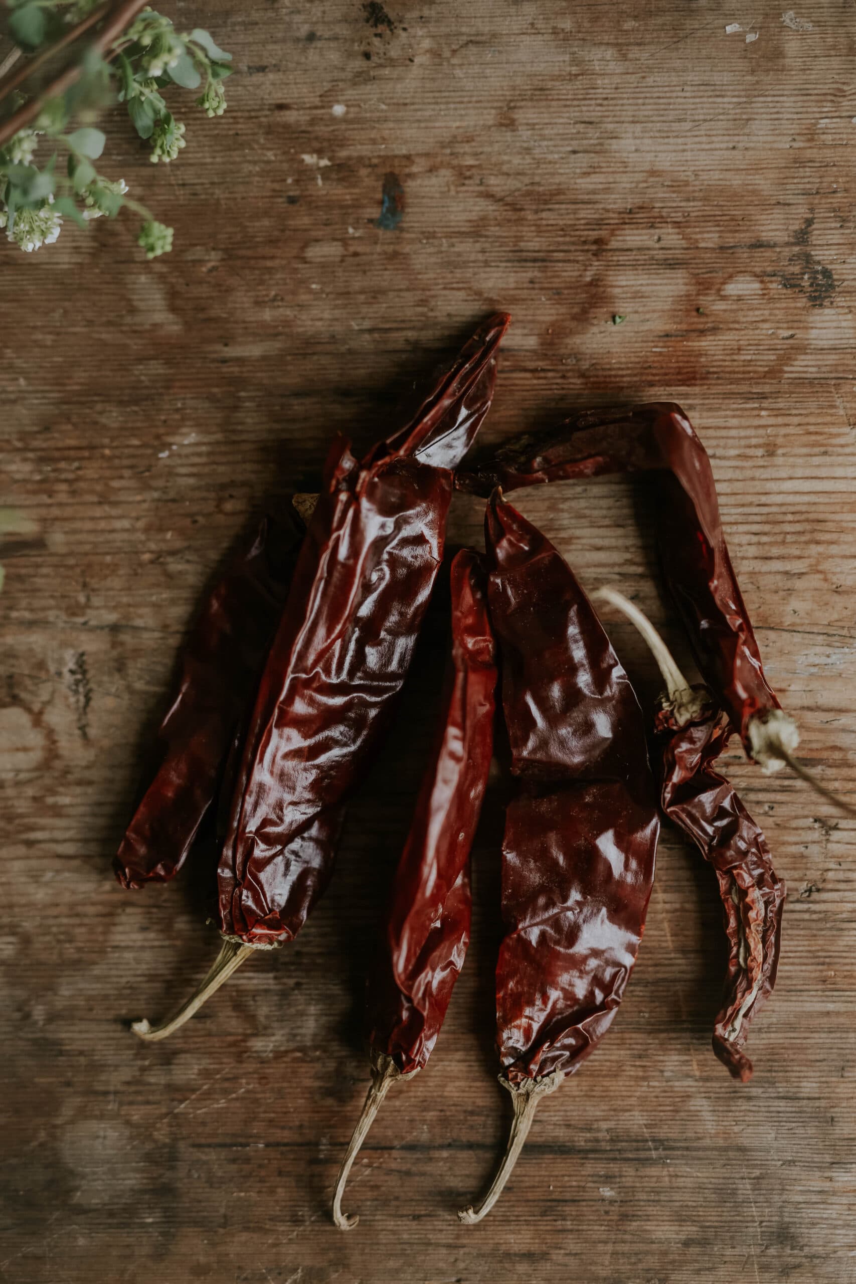 Graines de piment et poivron