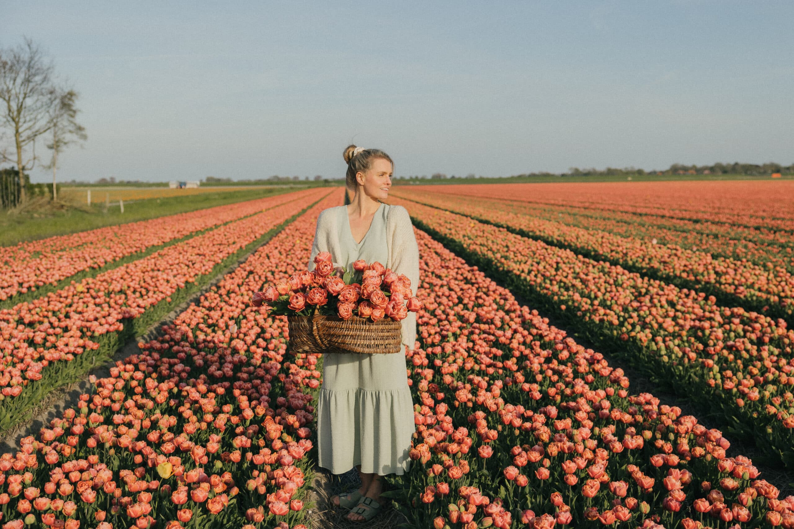 Plant flower bulbs