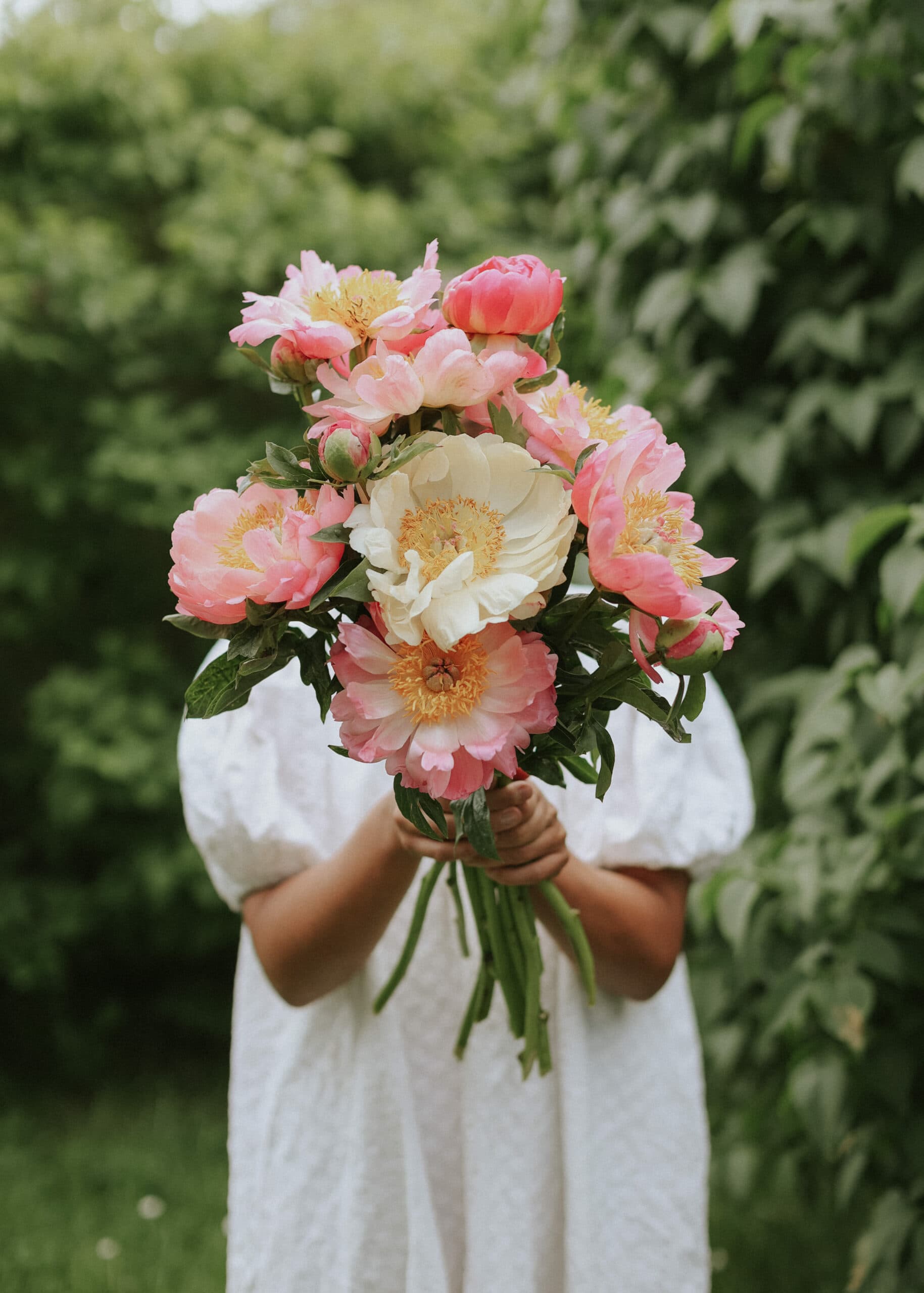 Peonies