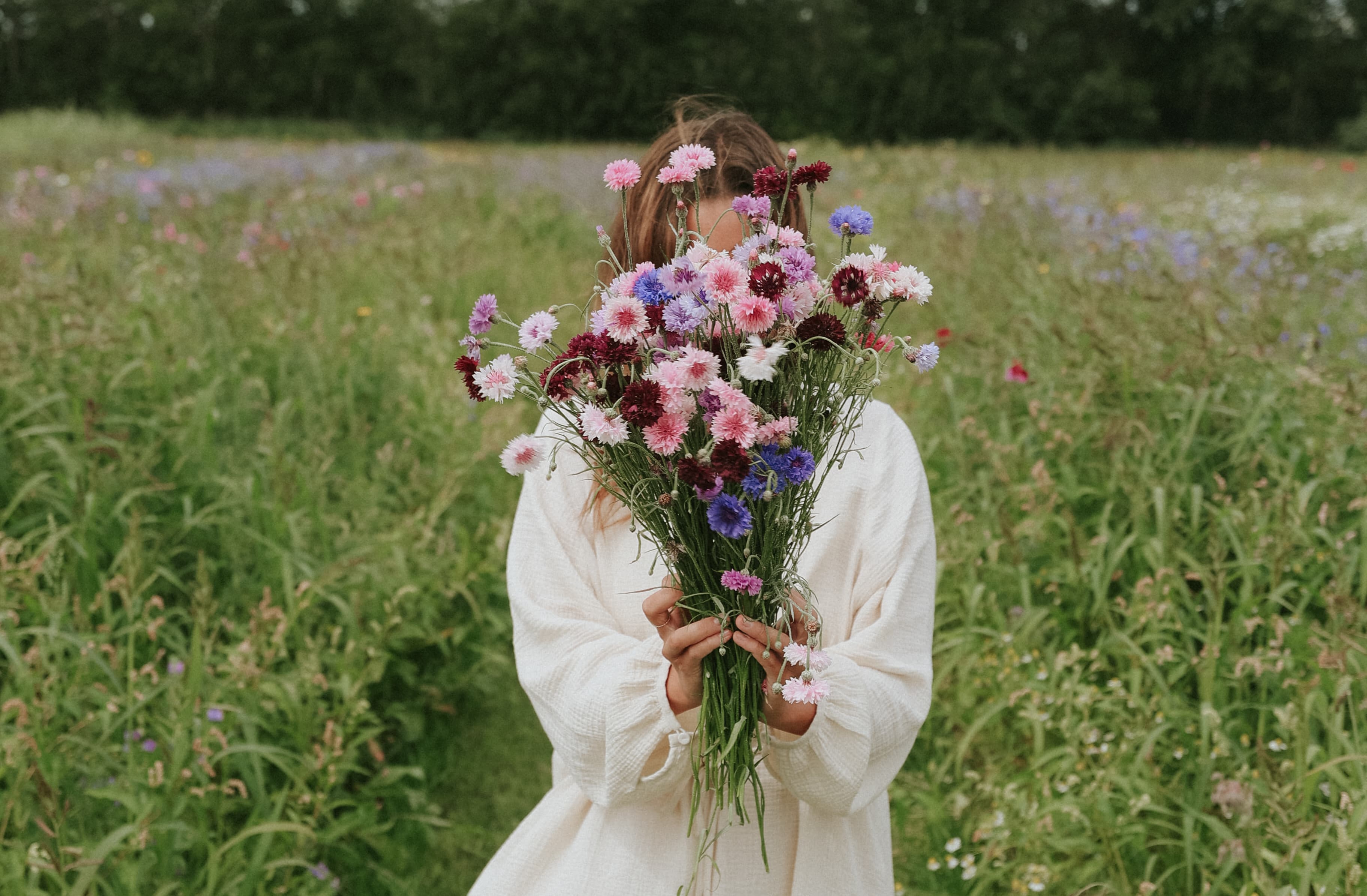 Mélanges de fleurs