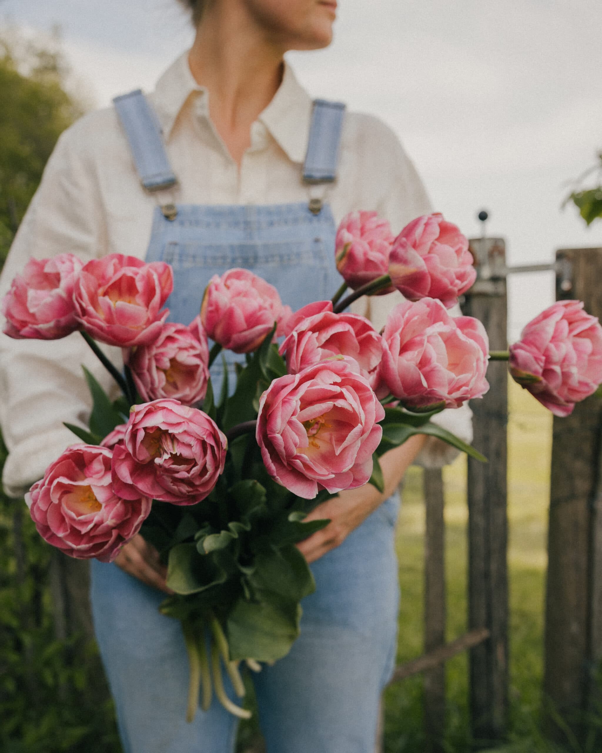 Flower bulbs to plant in fall