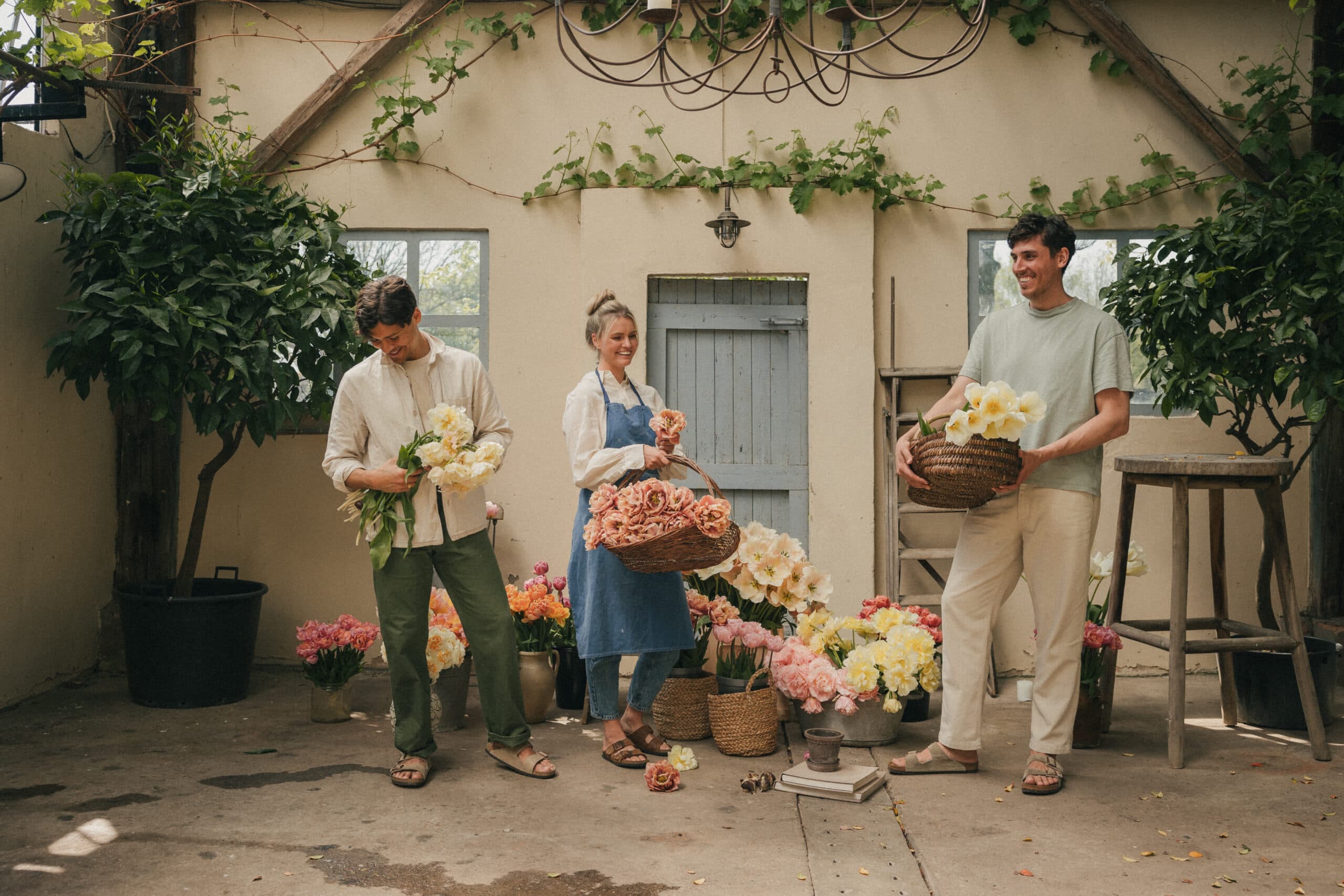 Flower bulbs and tubers