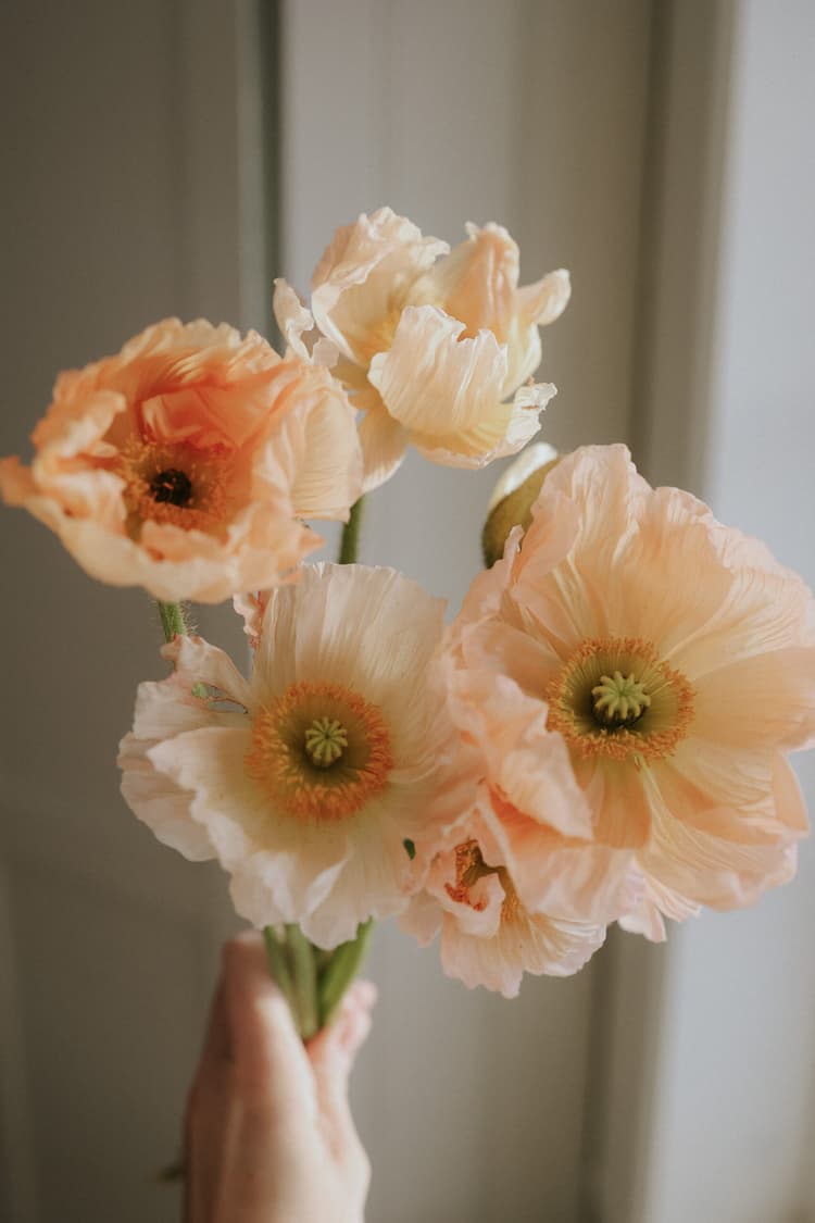 Floreas Bestseller online kaufen FLOREA