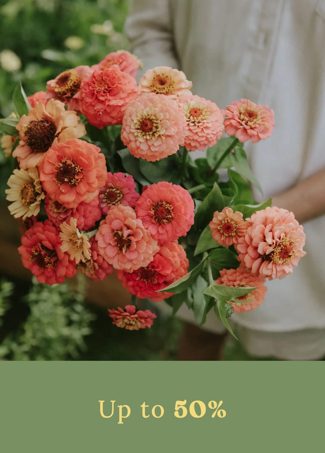 Sale - Flower Seeds
