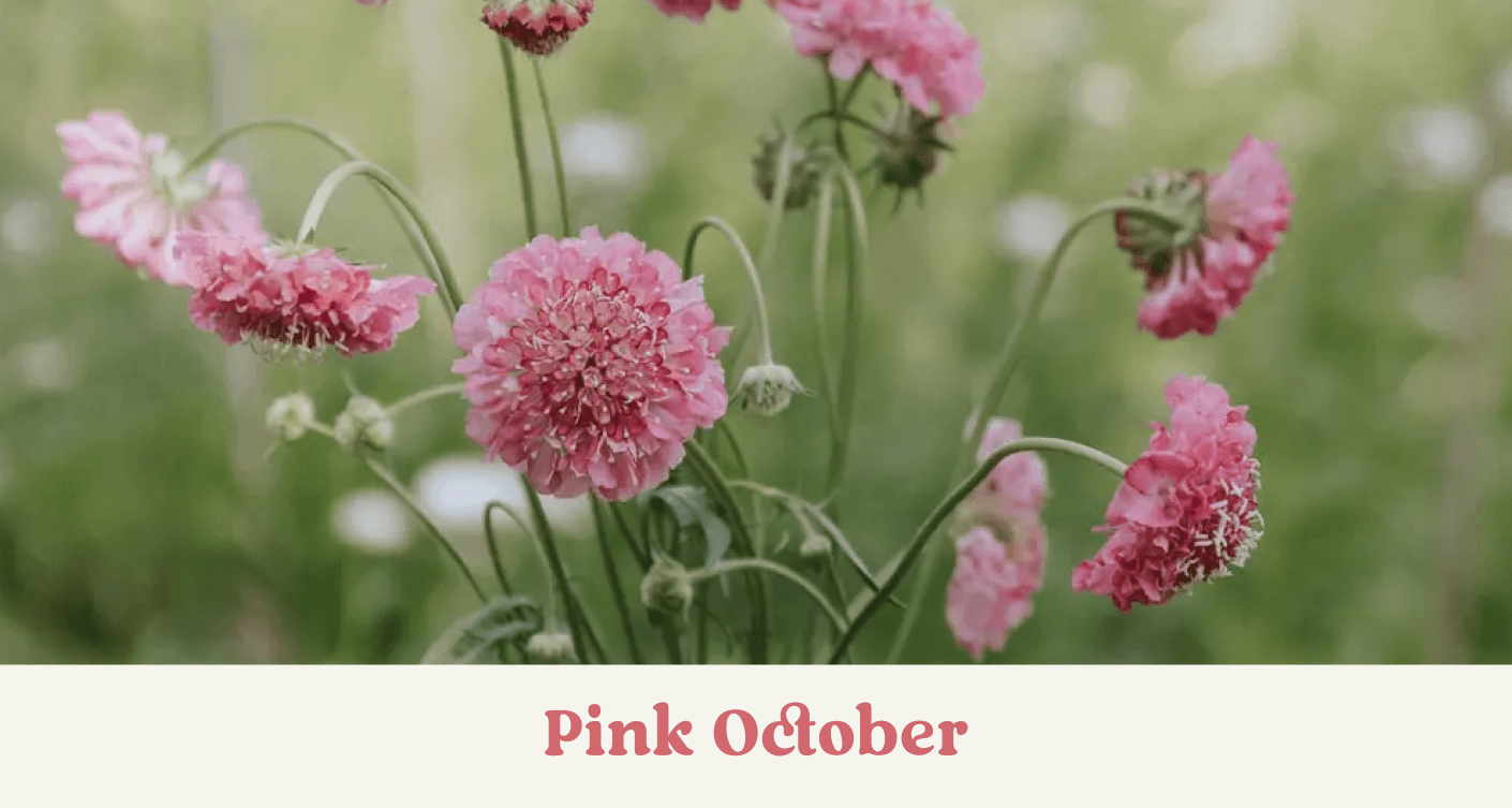 Pink October