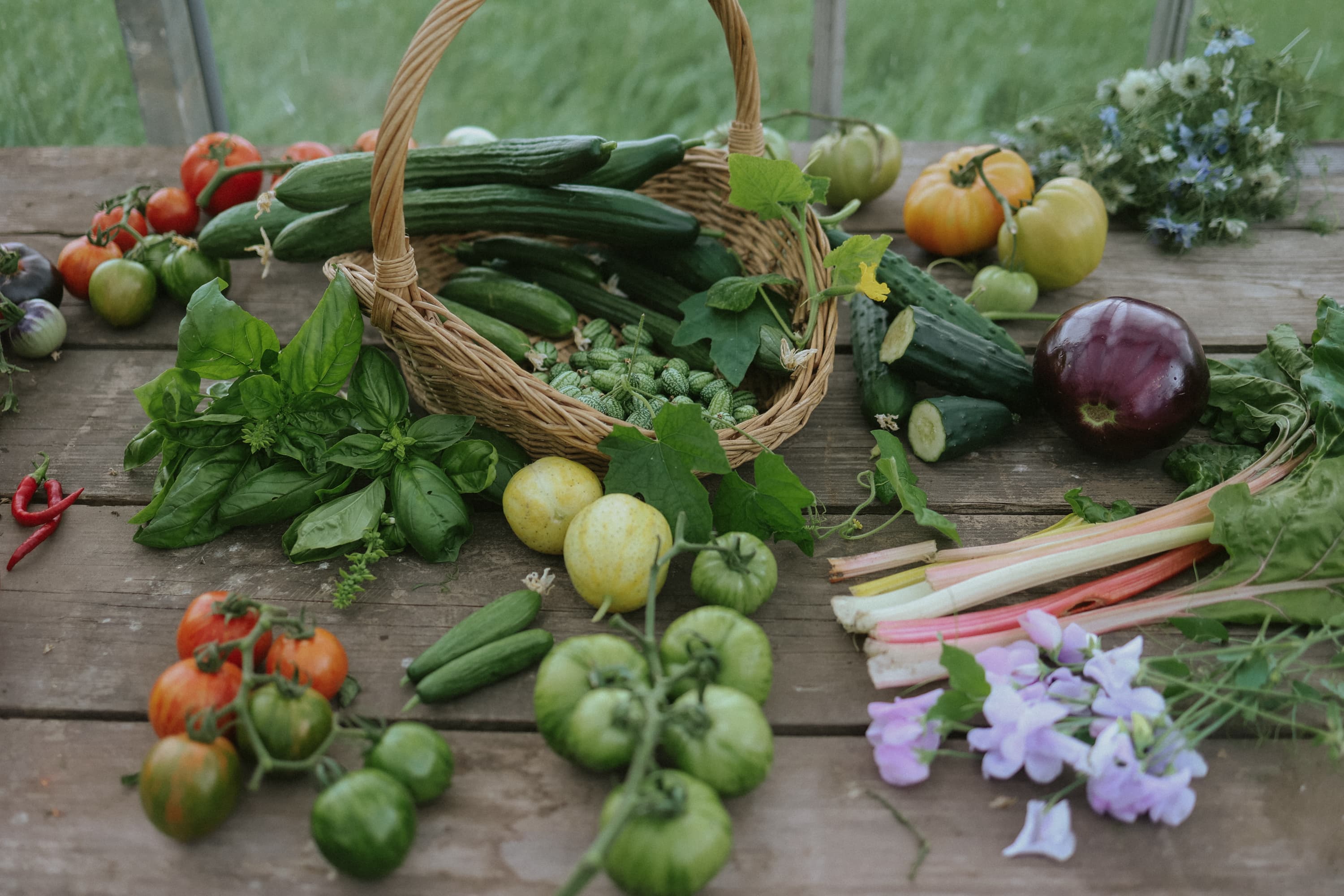 Graines de légumes