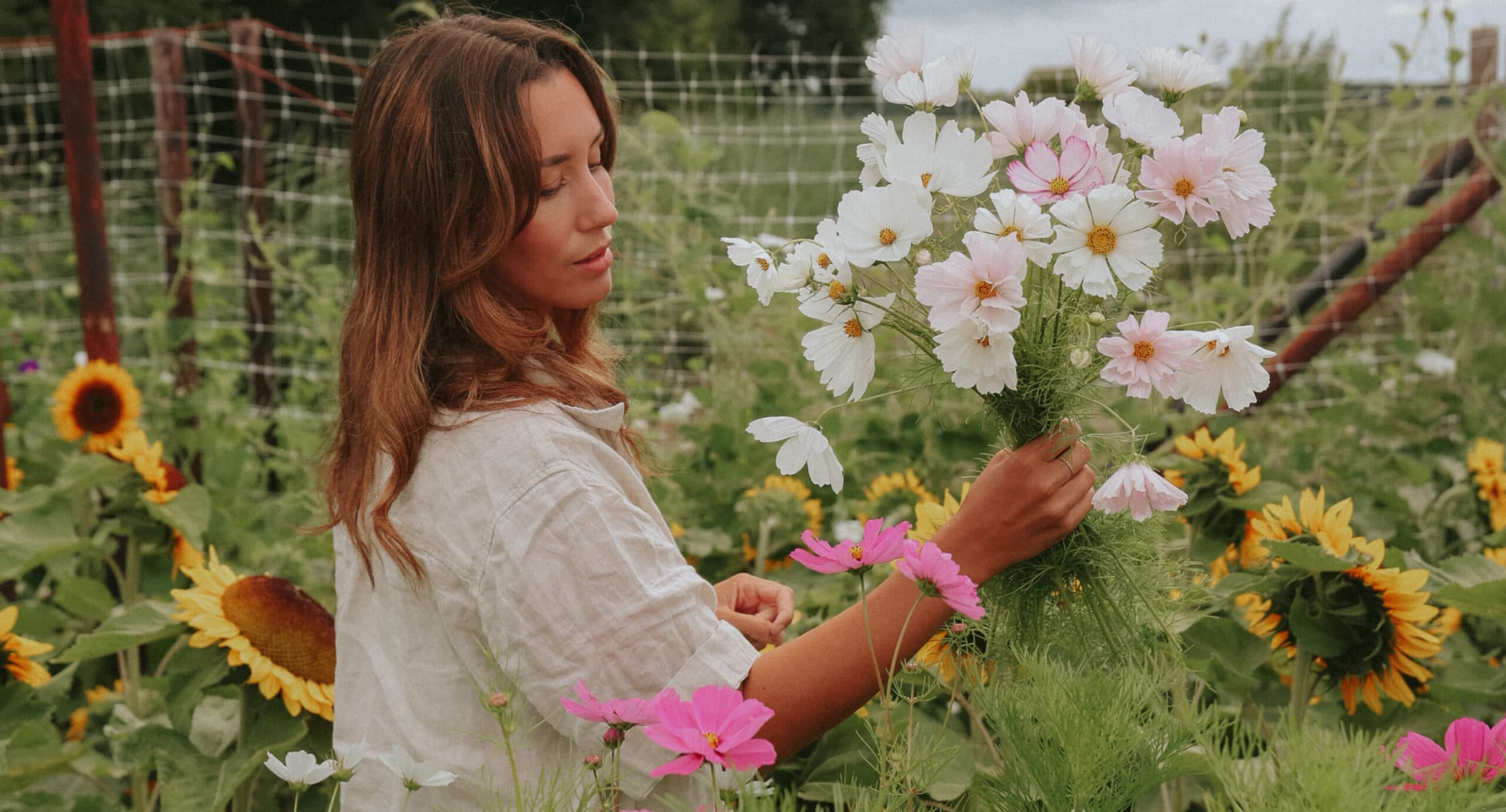 Graines de fleurs