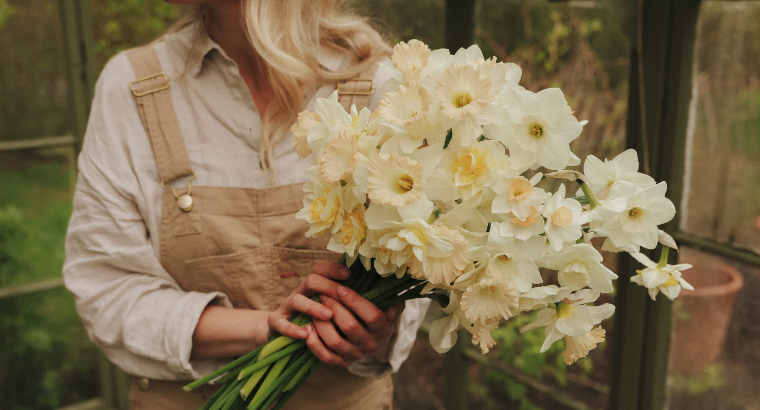 Narcissus - Flower Bulbs