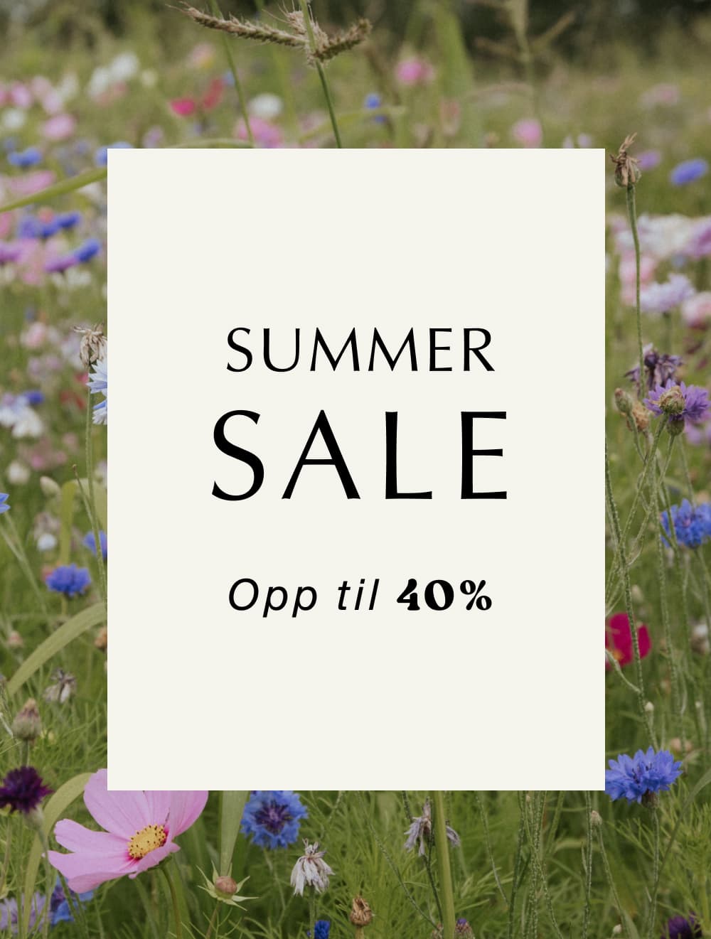 Summer Sale