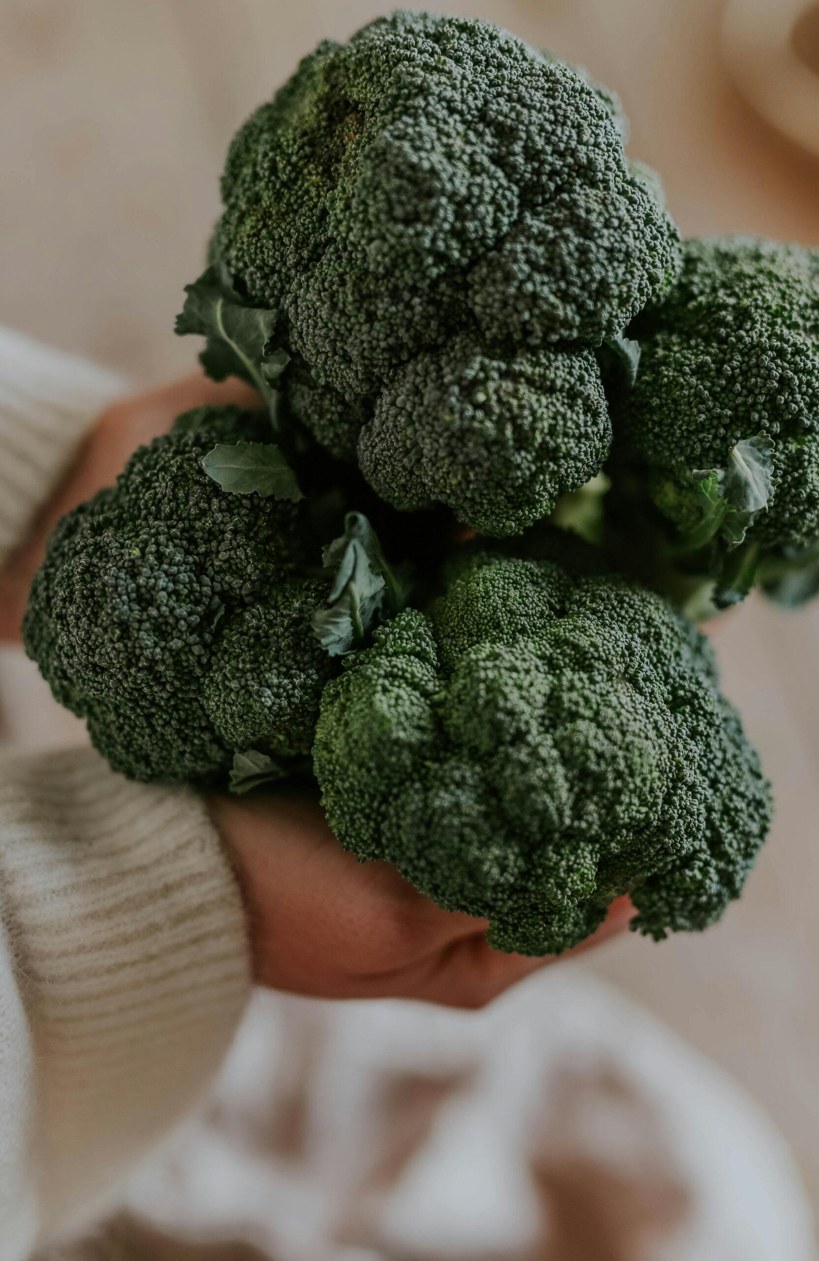 anna kubel håller upp broccoli