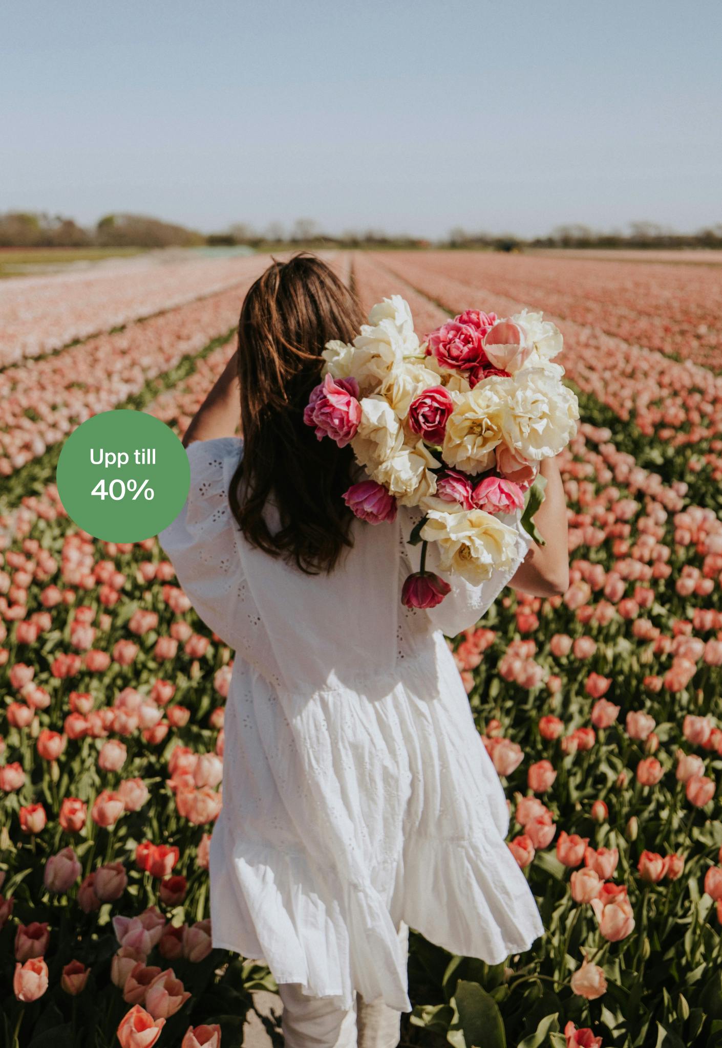40% - Blomsterlökar