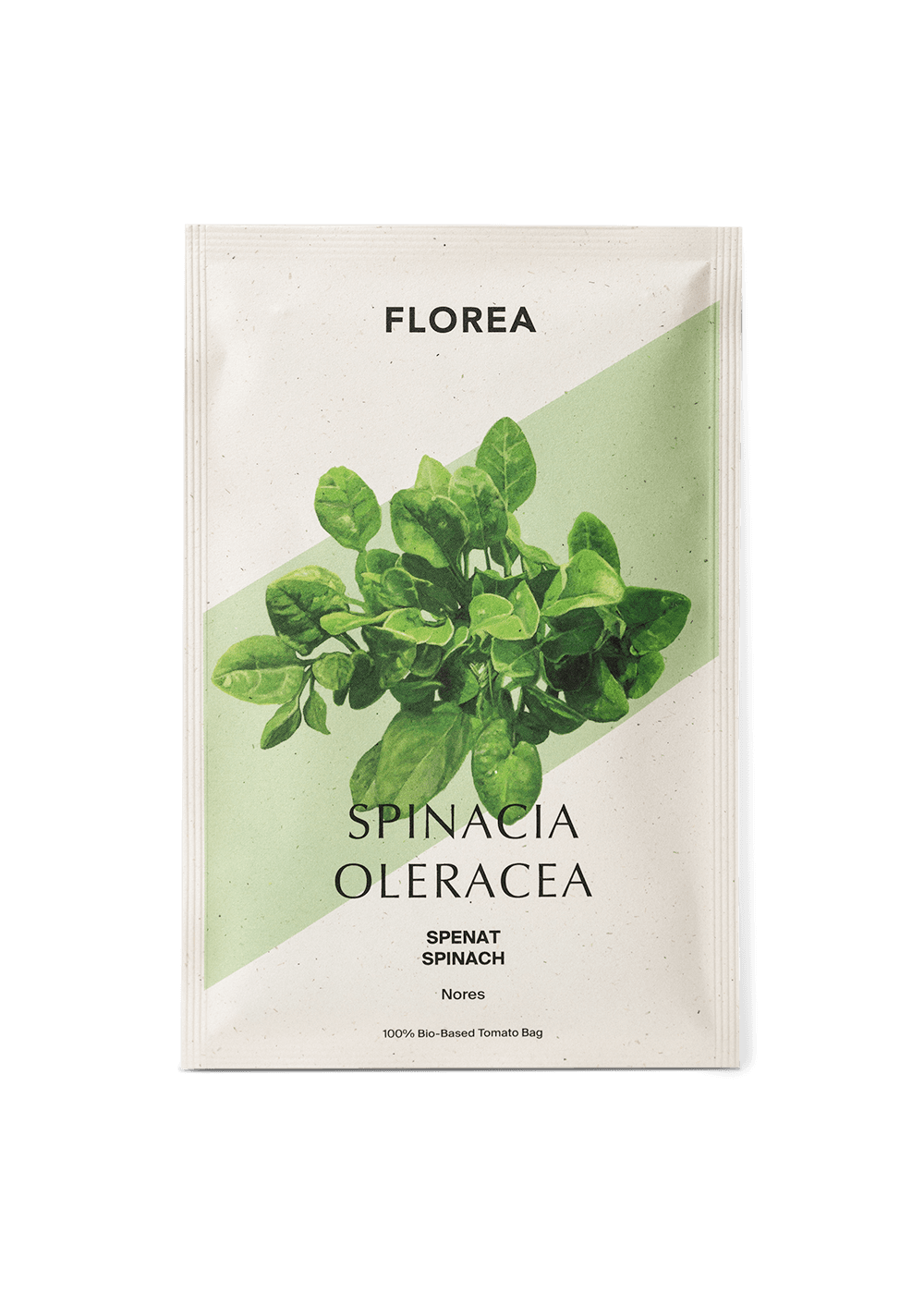 Spinach seeds Nores buy seeds online FLOREA